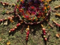 VDM1
